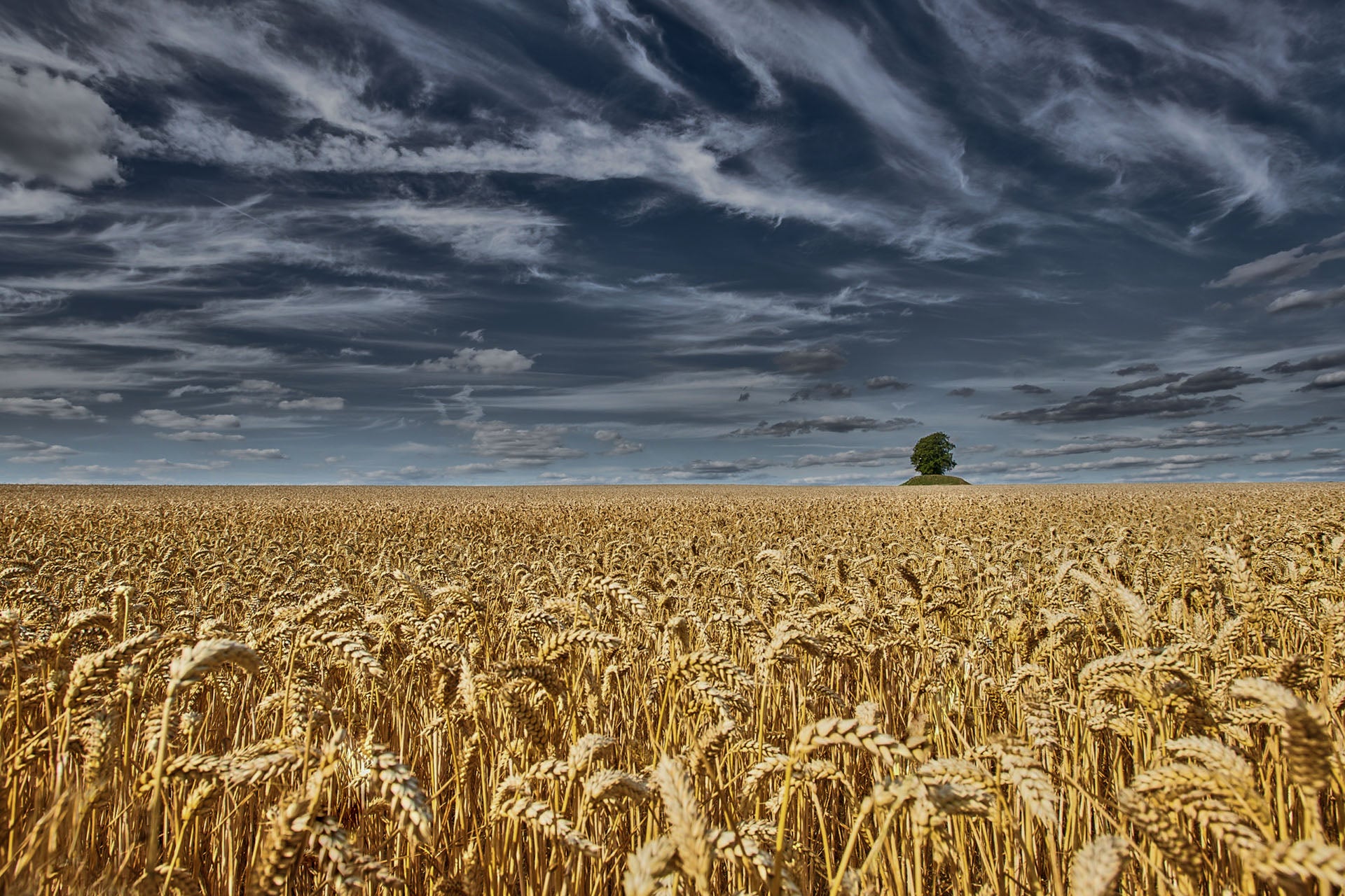 Natuur & Landschappen