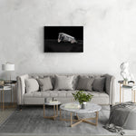 Groot formaat foto van het Dakota DC-3 wrak in IJsland onder de nachtelijke sterren, formaat 90x60cm, als stoer decoratief element.