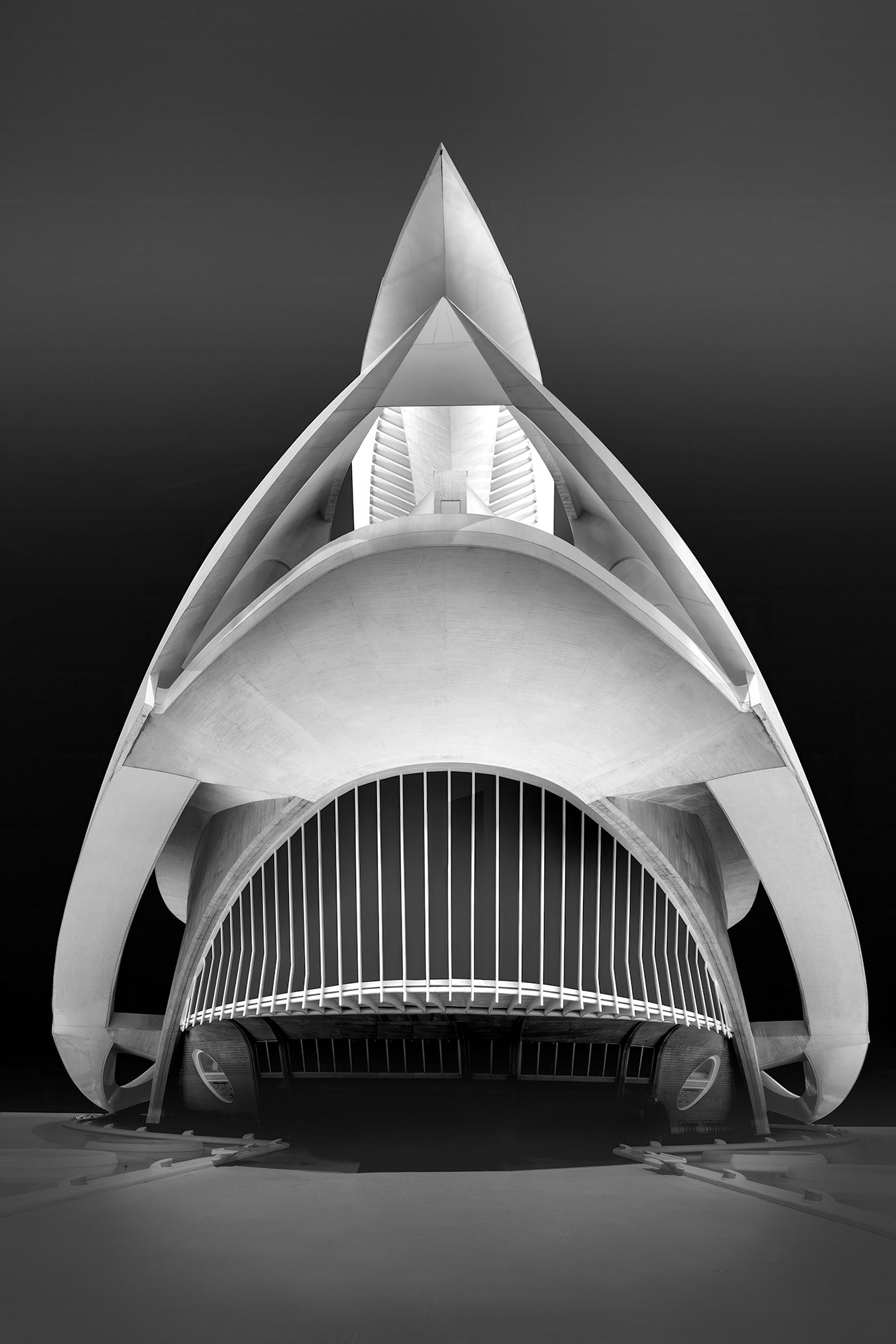 Palau de les Arts in Valencia, een iconisch modern gebouw ontworpen door Santiago Calatrava.