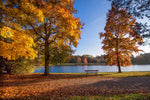 Prachtig herfstlandschap in Park Tervuren met kleurrijke bomen, een meer en een eenzame bank onder een heldere blauwe hemel.