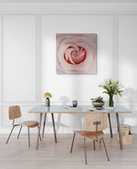Grote afbeelding van een Ecuadoriaanse roze roos, formaat 150x100cm, met prachtige zachte tinten.