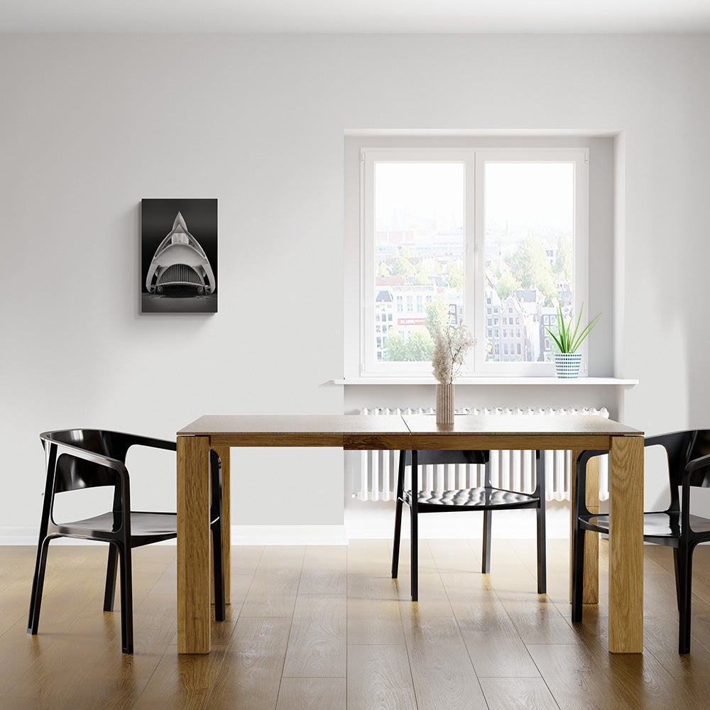 Decoratieve zwart-wit foto van Calatrava's gebouw in Valencia, formaat 60x40cm, perfect voor moderne interieurs.